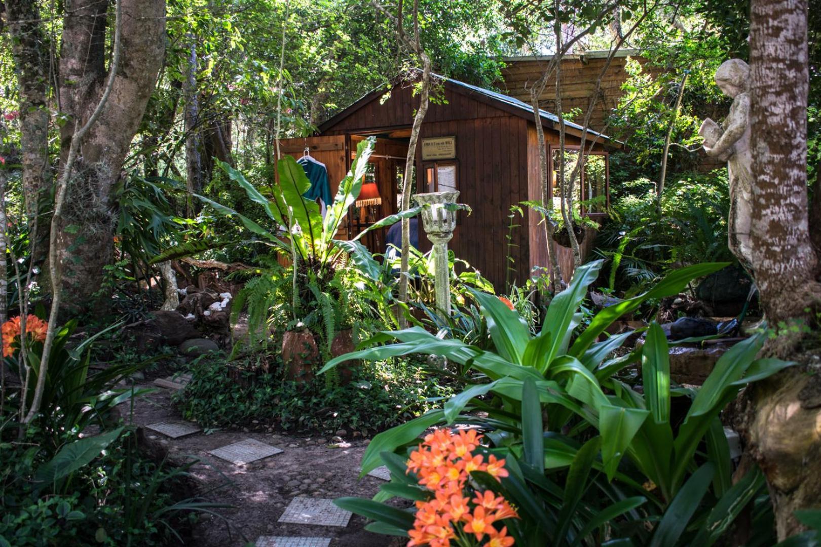Nature'S Valley Health Retreat A Hide Away In The Forest Exterior photo