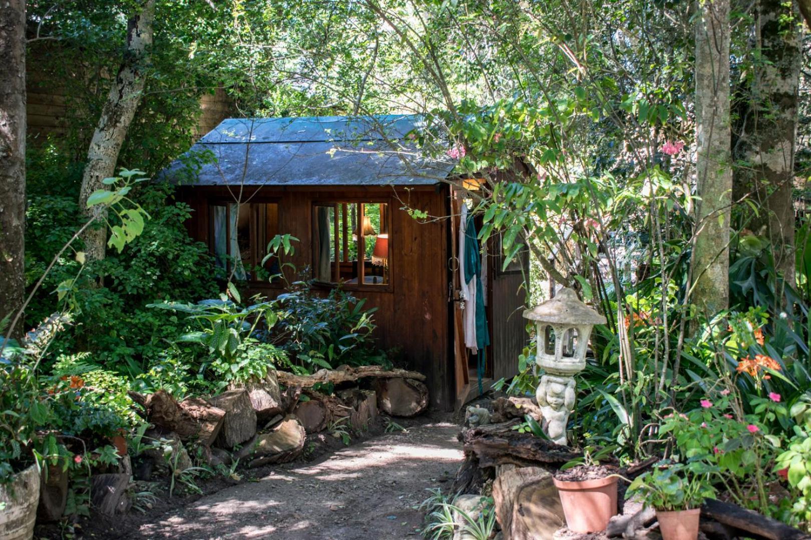 Nature'S Valley Health Retreat A Hide Away In The Forest Exterior photo